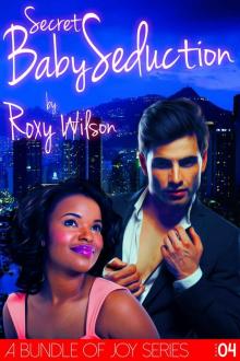 A Bundle of Joy 4: Secret Baby Seduction (BWWM Interracial Romance)