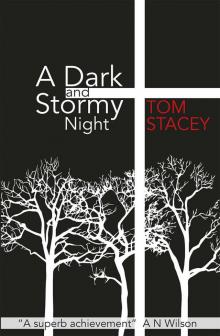 A Dark and Stormy Night Read online