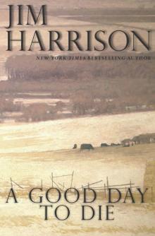 A Good Day to Die Read online