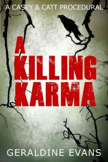A Killing Karma Read online