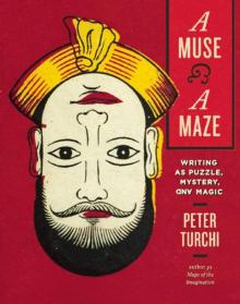 A Muse and a Maze: Writing as Puzzle, Mystery, and Magic Read online