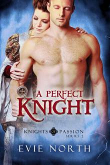 A Perfect Knight (Knights of Passion Series 2) Read online