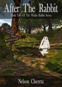 After The Rabbit (Waldo Rabbit Series) Read online