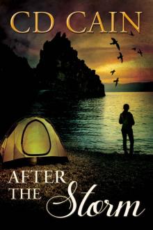 After the Storm (Chambers of the Heart Book 3) Read online