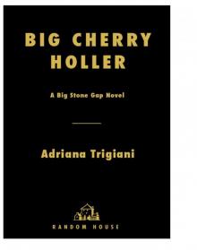Big Cherry Holler Read online