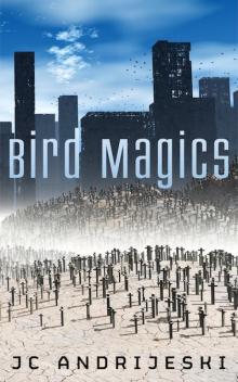 Bird Magics Read online
