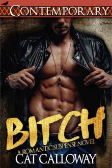 BITCH (A Romantic Suspense Novel)