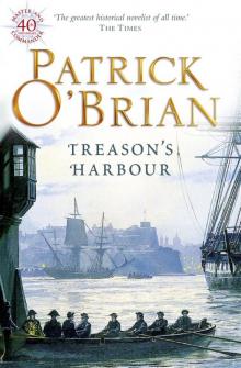 Book 9 - Treason's Harbour Read online