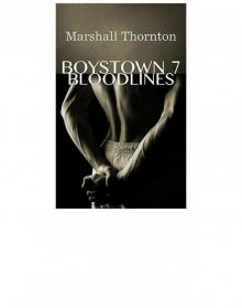 Boystown 7: Bloodlines Read online