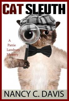 Cat Sleuth (A Pattie Lansbury Cat Cozy Mystery Series Book 1) Read online