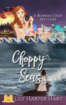 Choppy Seas (A Rowan Gray Mystery Book 5) Read online