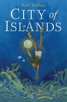 City of Islands Read online
