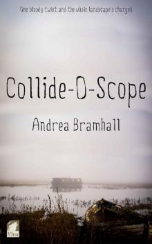 Collide-O-Scope (Norfolk Coast Investigation Stories Book 1) Read online