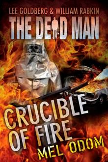 Crucible of Fire Read online