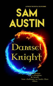 Damsel Knight Read online