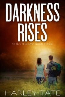 Darkness Rises: A Post-Apocalyptic Survival Thriller (After the EMP Book 3) Read online