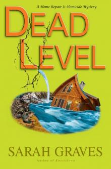 Dead Level Read online