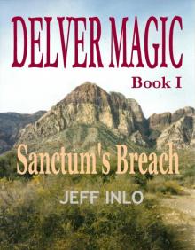 Delver Magic Book I: Sanctum's Breach Read online