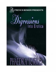 Digressions Into Erotica