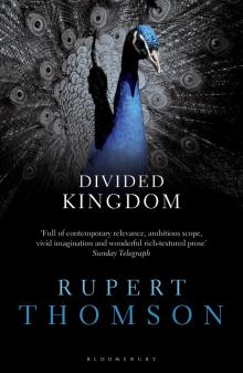 Divided Kingdom Read online