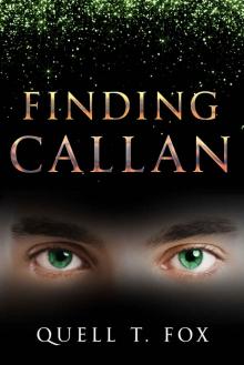 Finding Callan Read online