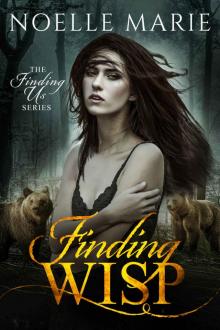 Finding Wisp (Finding Us, #2)