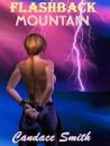 Flashback Mountain Read online