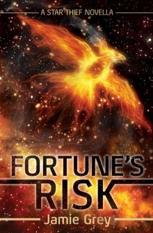Fortune's Risk: A Star Thief Novella (Star Thief Chronicles #1.5) Read online