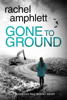 Gone to Ground Read online
