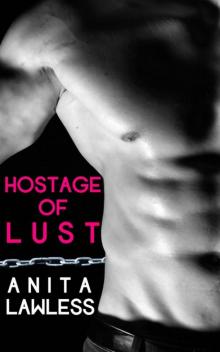 Hostage Of Lust Read online