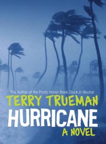 Hurricane Read online