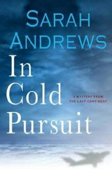 In Cold Pursuit Read online