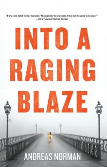 Into a Raging Blaze Read online
