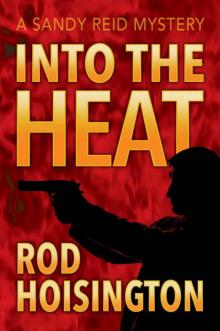 Into The Heat (Sandy Reid Mystery Series Book 6)