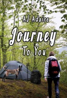 Journey To You Read online