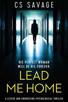 Lead Me Home: a clever and engrossing psychological thriller