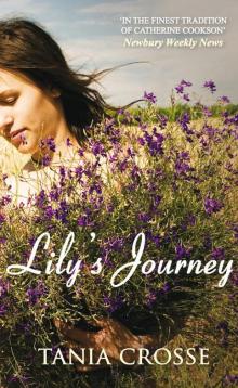 Lily's Journey Read online