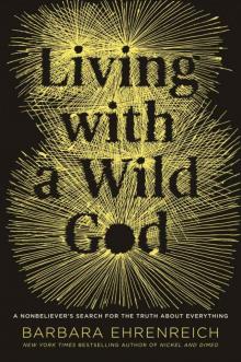 Living with a Wild God: A Nonbeliever's Search for the Truth about Everything Read online