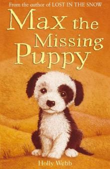 Max the Missing Puppy Read online