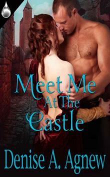 Meet Me At the Castle Read online