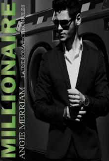 Millionaire (The Laundromat Chronicles Book 1) Read online