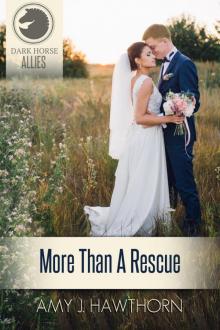 More Than a Rescue: A Dark Horse Allies Novella Read online