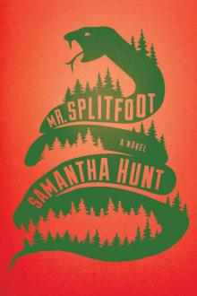 Mr. Splitfoot Read online