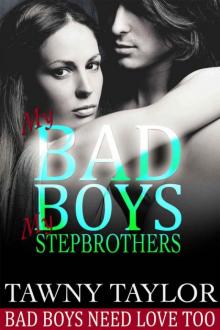 My Bad Boys, My Stepbrothers Read online
