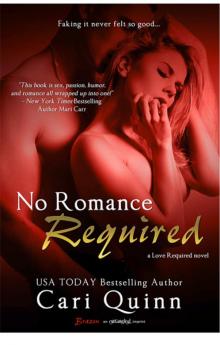 No Romance Required Read online