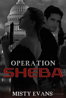 Operation Sheba Read online