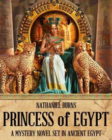 Princess of Egypt - A Mystery in Ancient Egypt Read online
