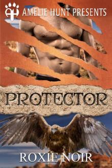 Protector (Copper Mesa Eagles Book 3) Read online
