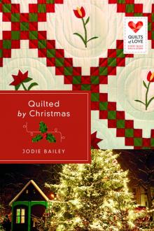 Quilted by Christmas (9781426796142)