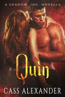 Quin: A Shadow, Inc. Novella